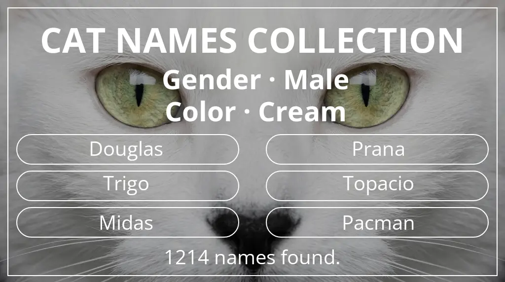 Cat names inspired by male gender and cream color