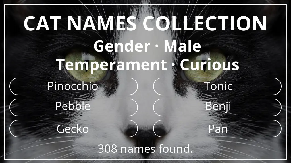 Feline names based on male gender and curious temperament