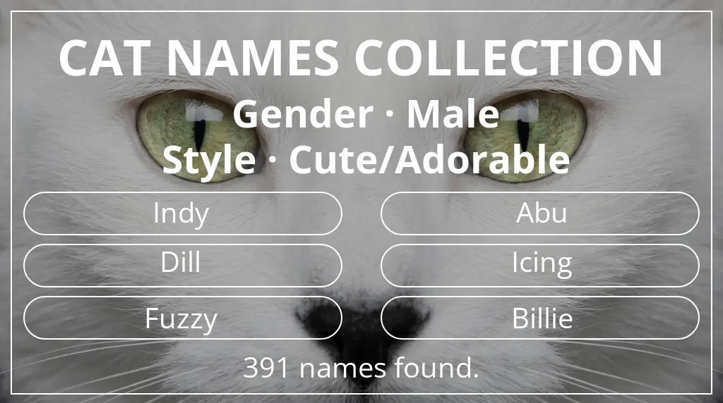 Names for cats inspired by male gender and cute/adorable style