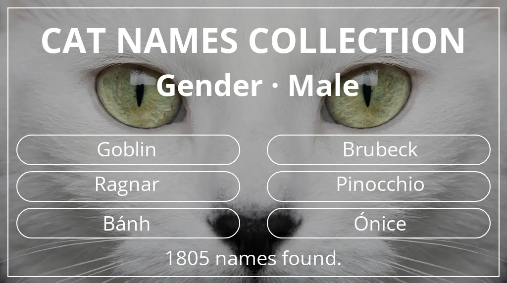 Cat names based on male gender