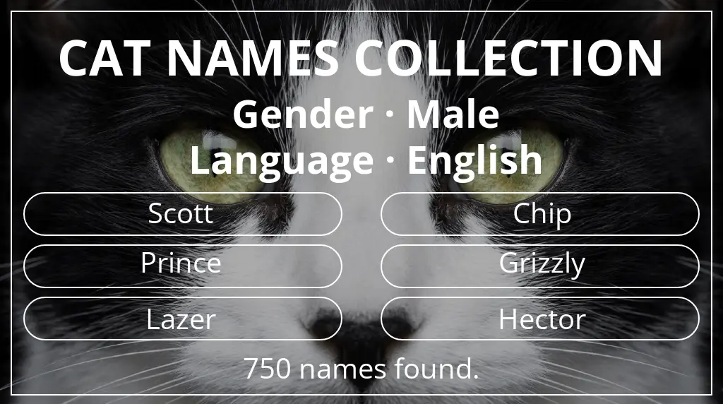 Names for cats based on male gender and english language