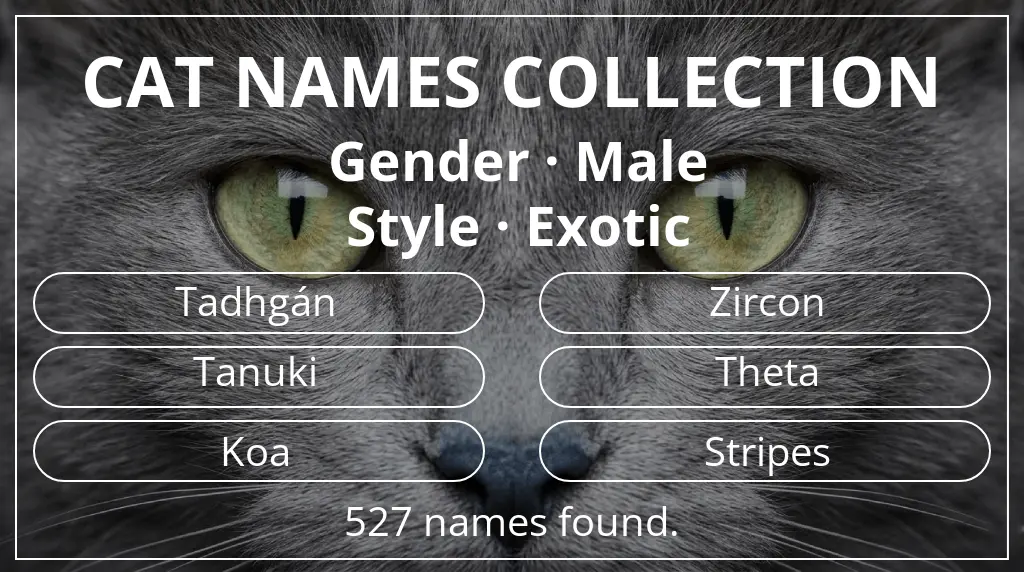 Names for cats inspired by male gender and exotic style