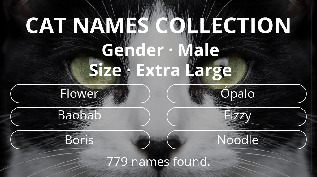 Cat names related to male gender and extra large size
