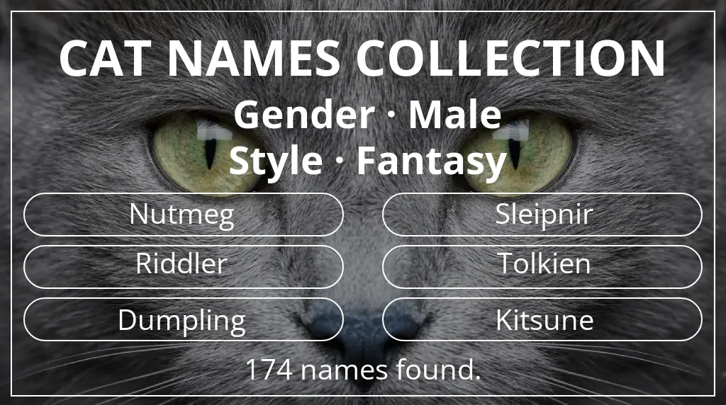 Names for cats inspired by male gender and fantasy style