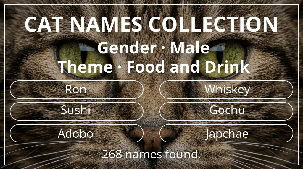 Feline names inspired by male gender and food and drink theme