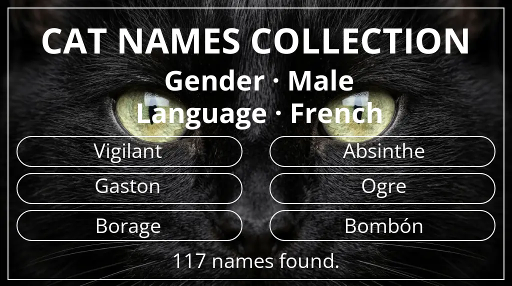 Names for cats based on male gender and french language