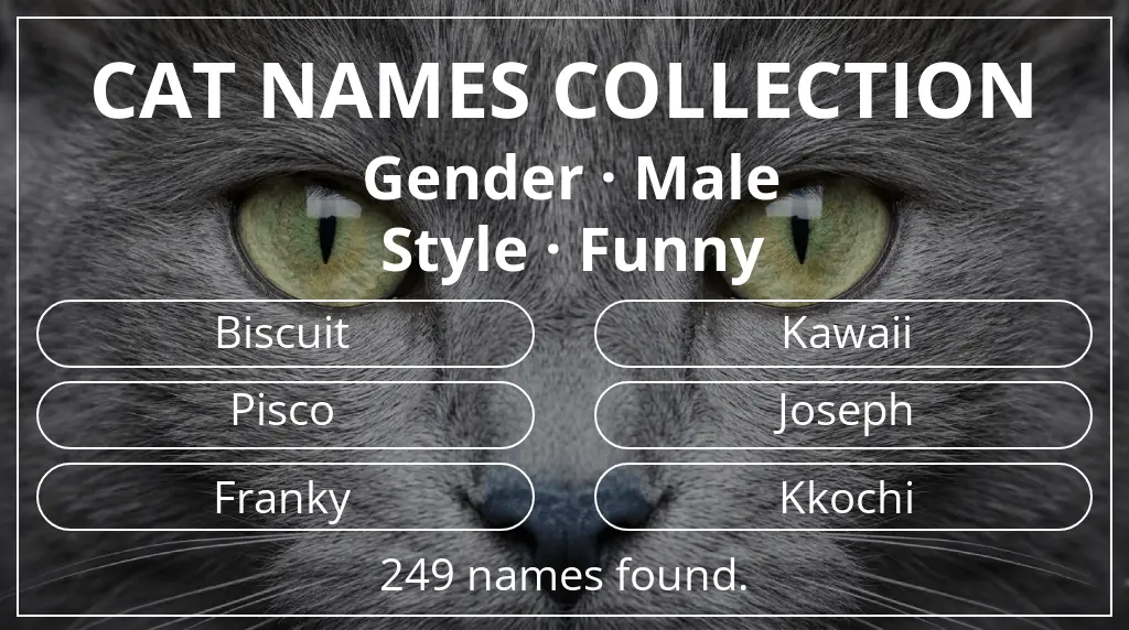 Feline names related to male gender and funny style
