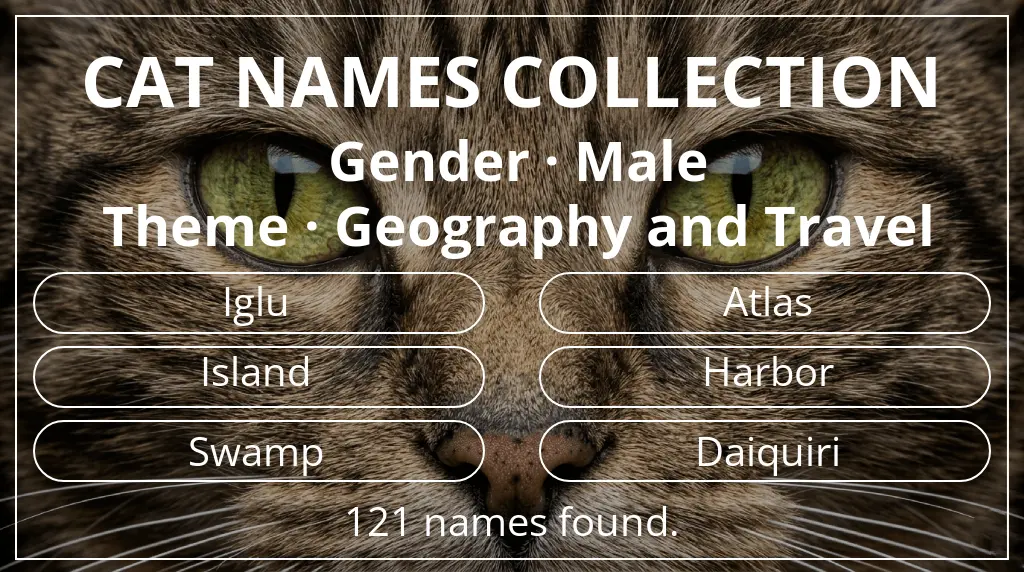 Names for cats related to male gender and geography and travel theme