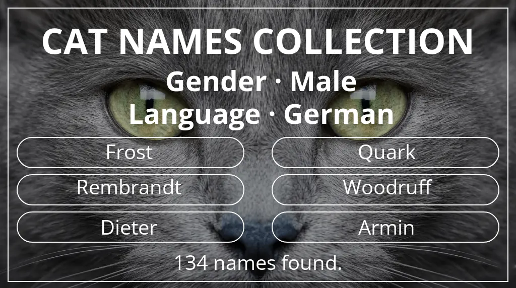 Feline names based on male gender and german language