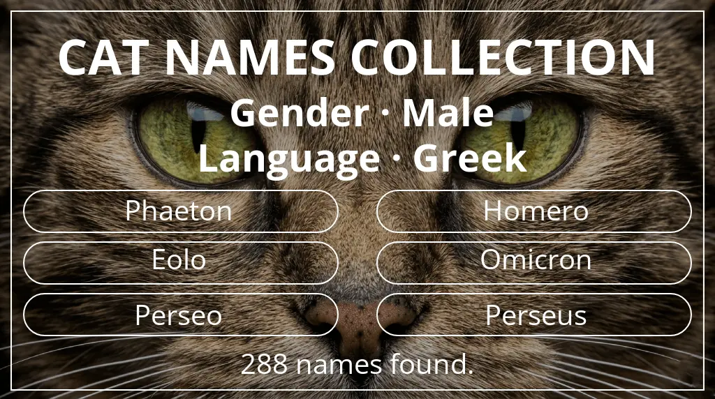 Feline names related to male gender and greek language