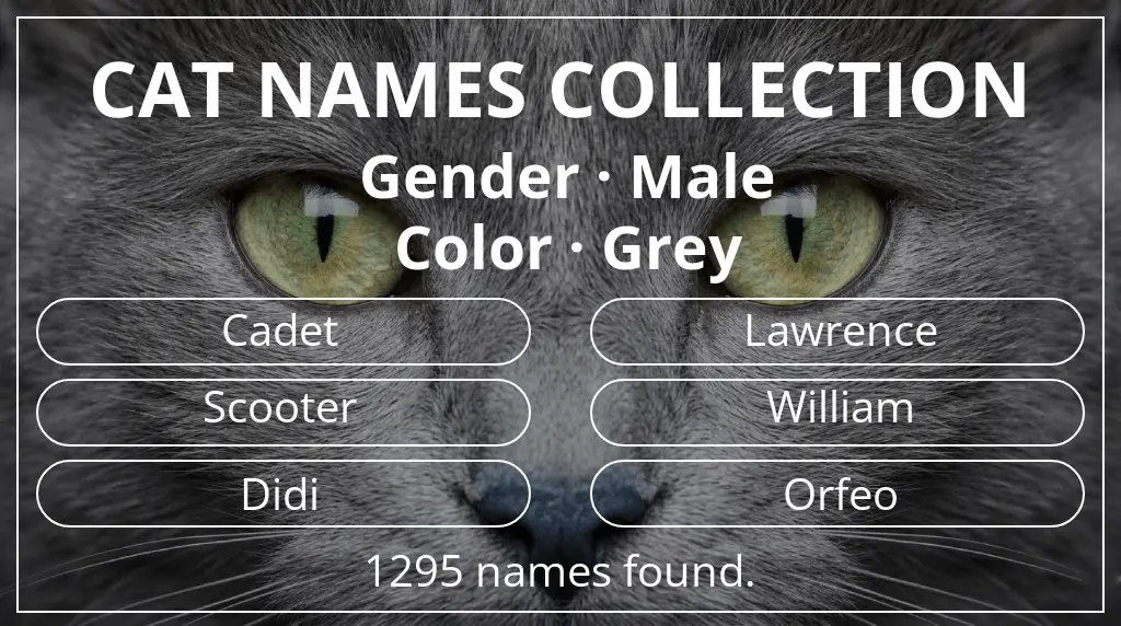 Names for cats related to male gender and grey color