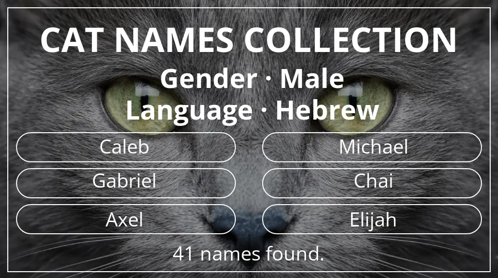 Names for cats inspired by male gender and hebrew language