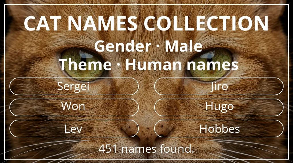 Cat names related to male gender and human names theme