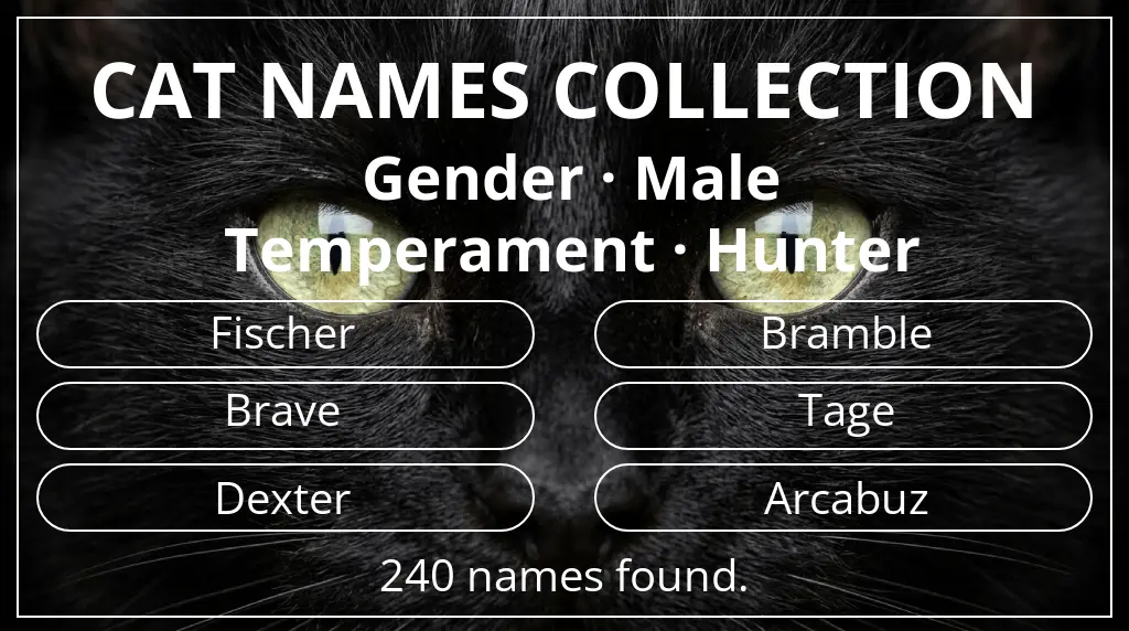 Cat names inspired by male gender and hunter temperament