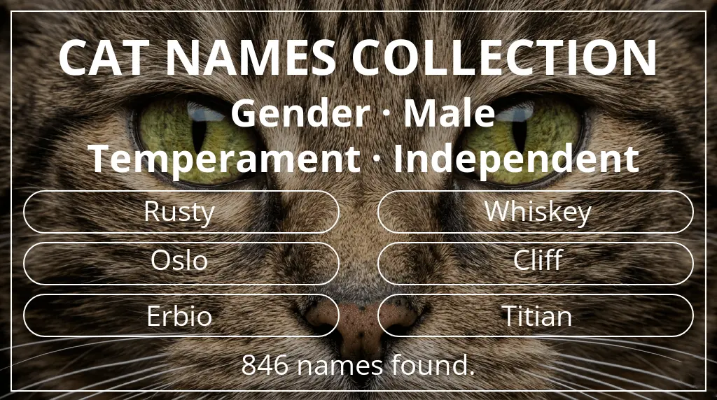 Names for cats inspired by male gender and independent temperament