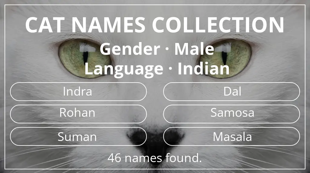 Names for cats related to male gender and indian language