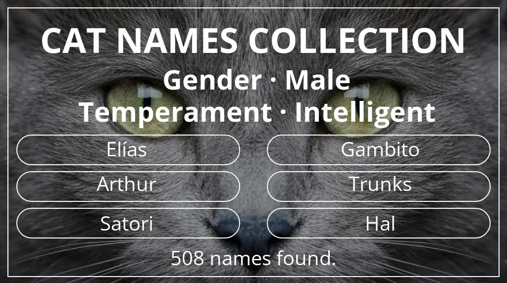 Feline names inspired by male gender and intelligent temperament