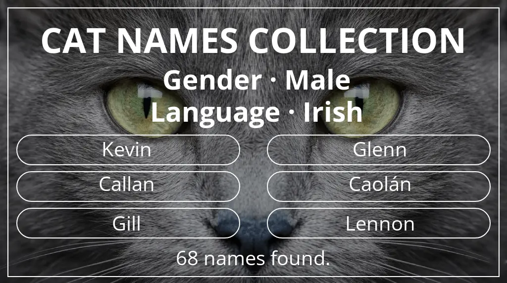 Names for cats based on male gender and irish language