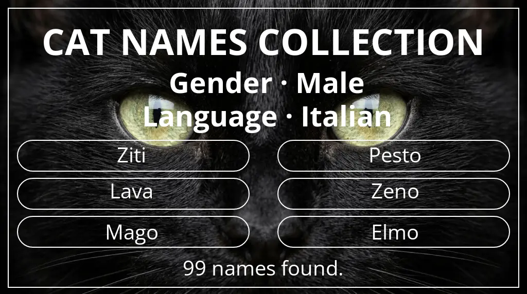 Names for cats related to male gender and italian language
