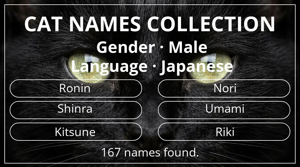 Cat names based on male gender and japanese language