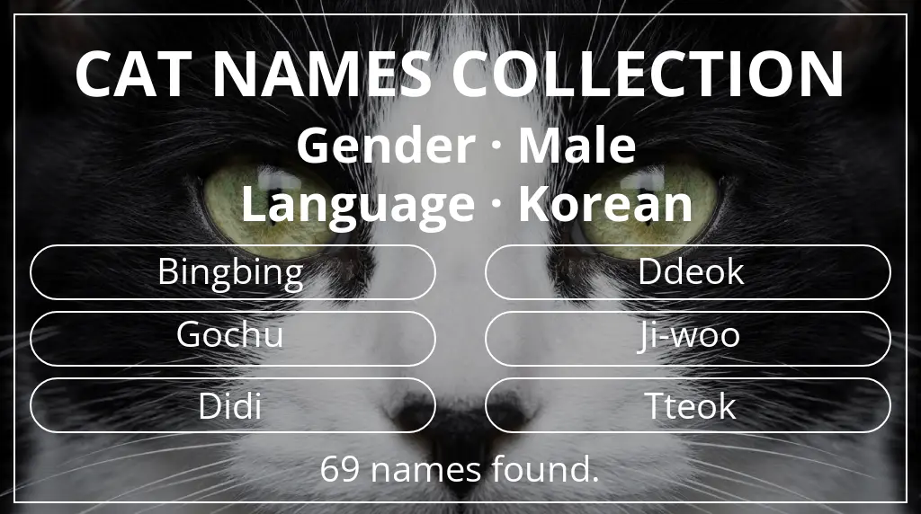 Cat names inspired by male gender and korean language