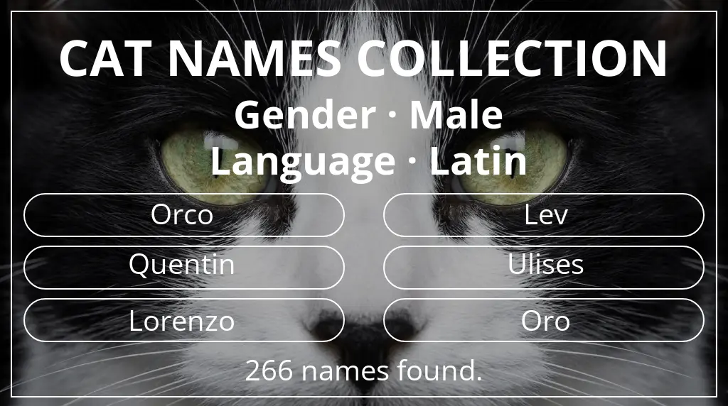 Names for cats related to male gender and latin language