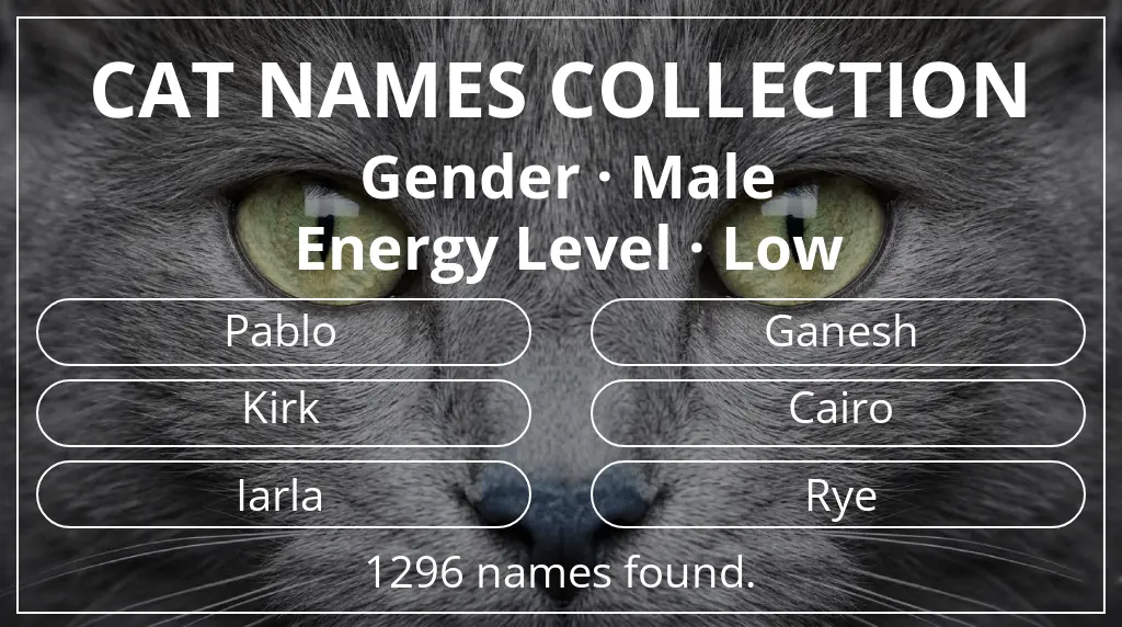 Cat names based on male gender and low energy level
