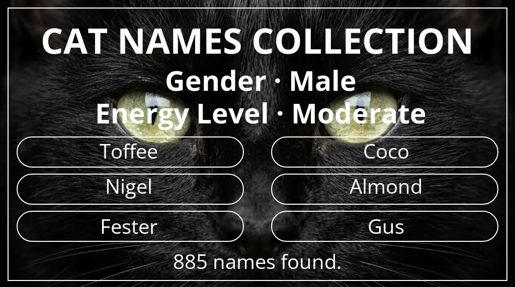 Cat names based on male gender and moderate energy level