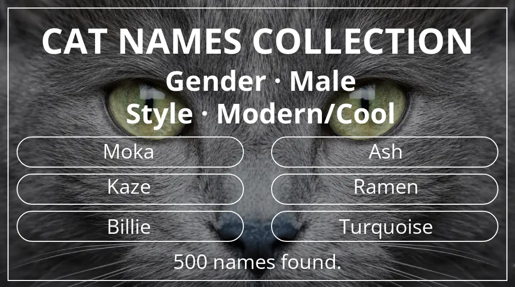 Feline names based on male gender and modern/cool style