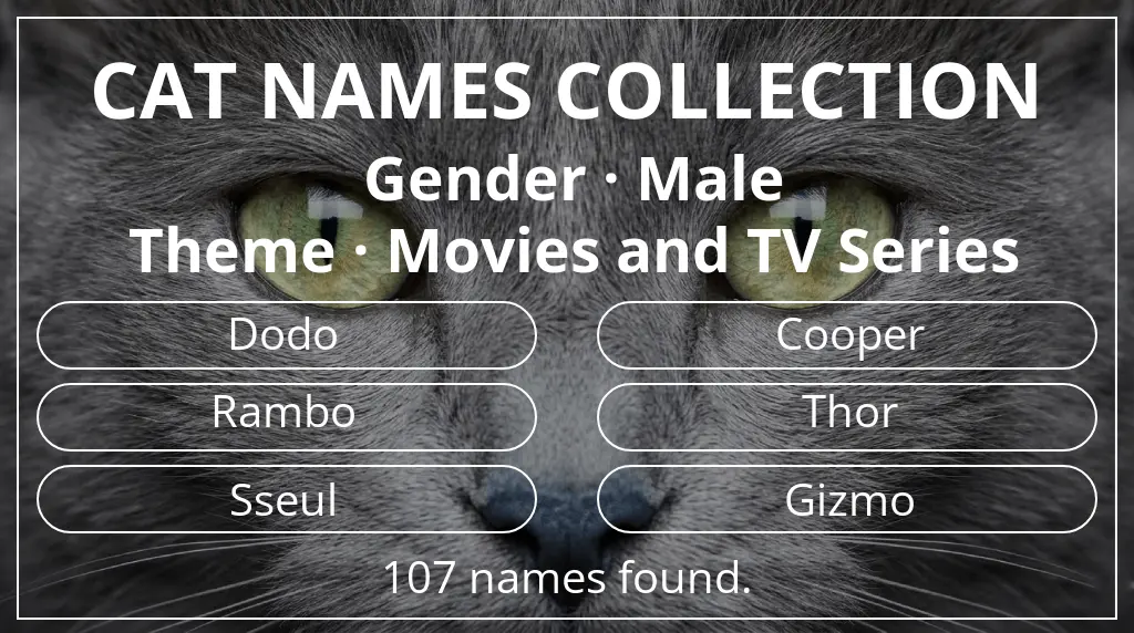 Cat names related to male gender and movies and tv series theme