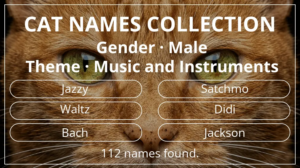 Names for cats based on male gender and music and instruments theme