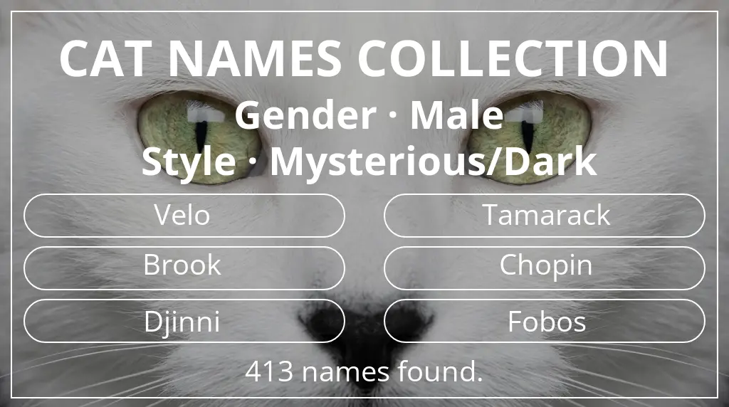 Feline names based on male gender and mysterious/dark style
