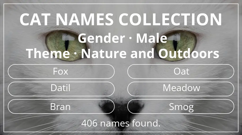 Cat names related to male gender and nature and outdoors theme