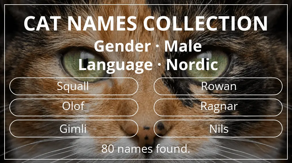 Feline names inspired by male gender and nordic language