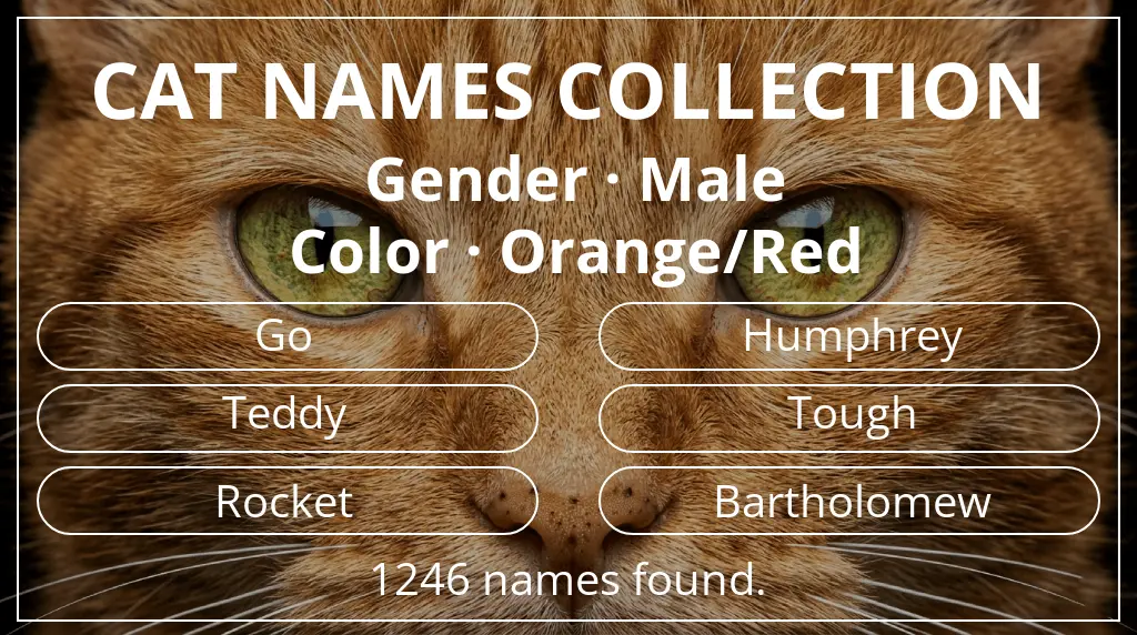 Names for cats based on male gender and orange/red color