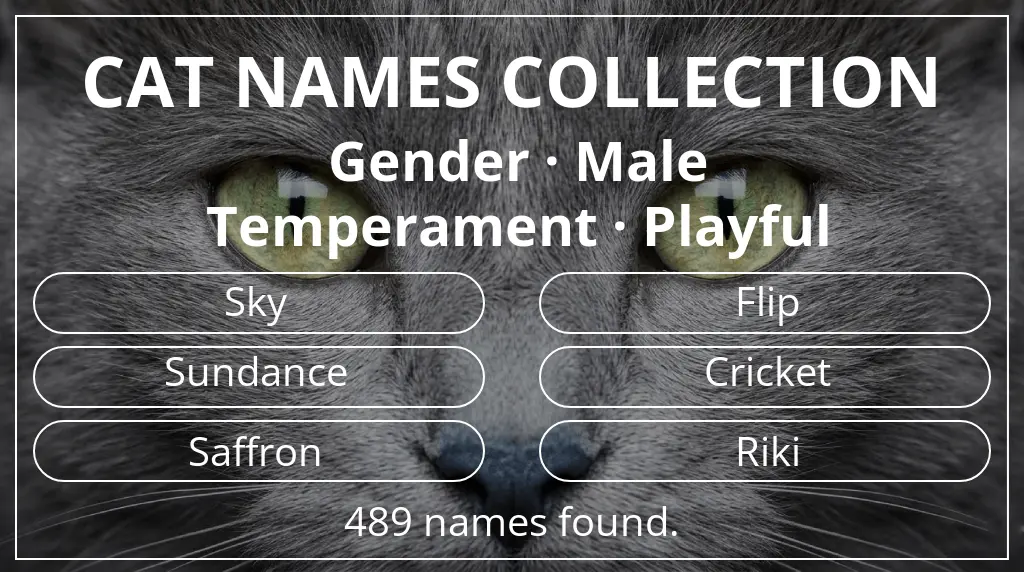 Feline names inspired by male gender and playful temperament