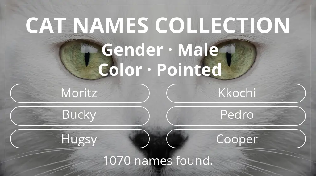 Feline names based on male gender and pointed color