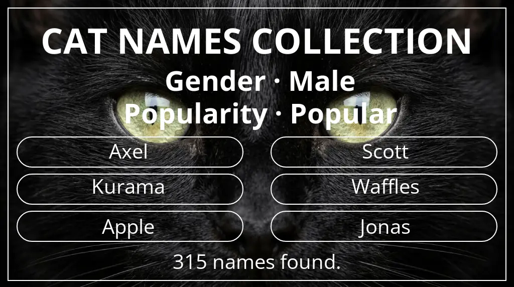 Feline names related to male gender and popular popularity