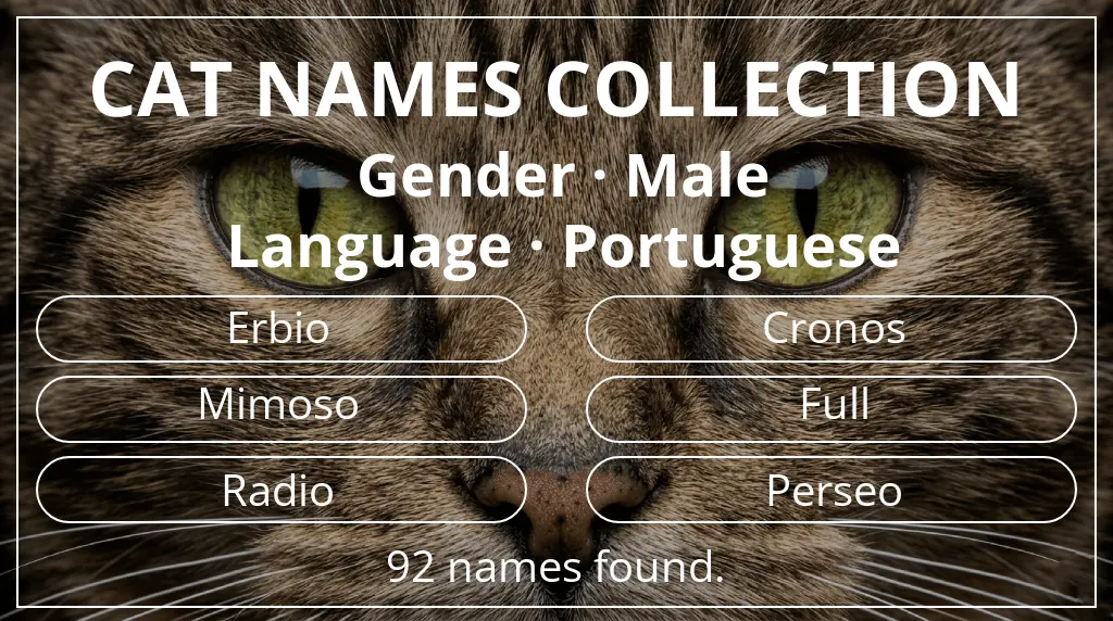 Cat names inspired by male gender and portuguese language