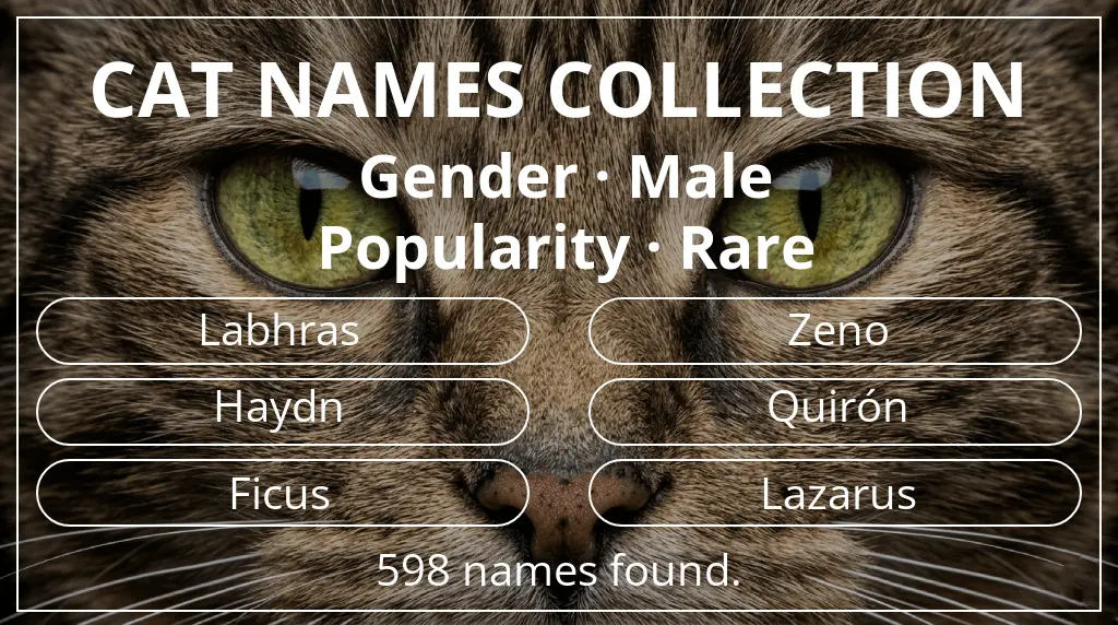 Feline names based on male gender and rare popularity