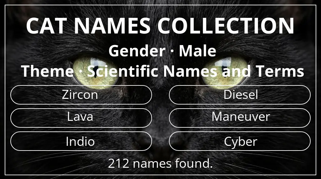 Names for cats related to male gender and scientific names and terms theme
