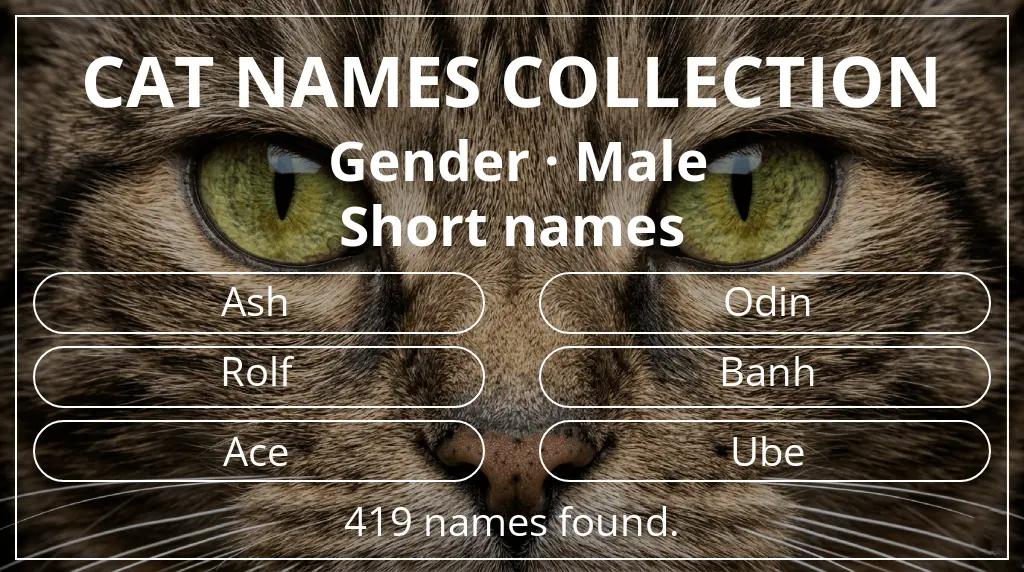 Cat names related to male gender and short (2–4) name length