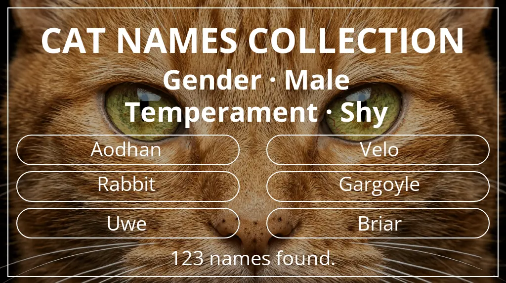 Cat names inspired by male gender and shy temperament