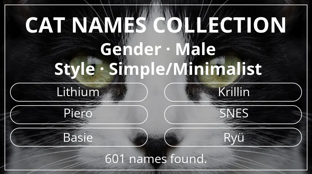 Names for cats related to male gender and simple/minimalist style