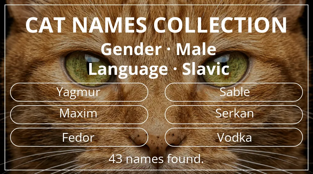 Feline names based on male gender and slavic language