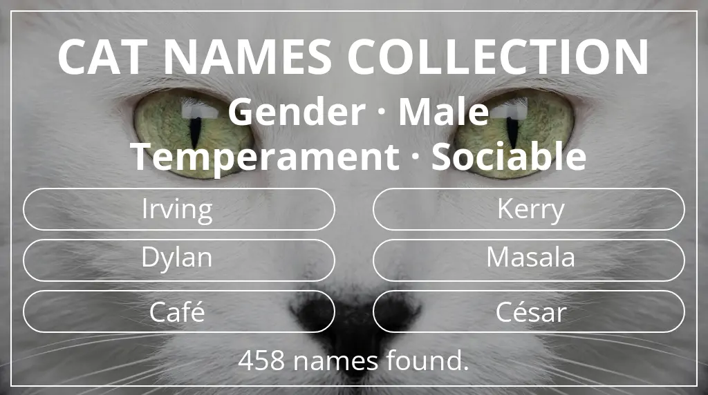 Feline names based on male gender and sociable temperament