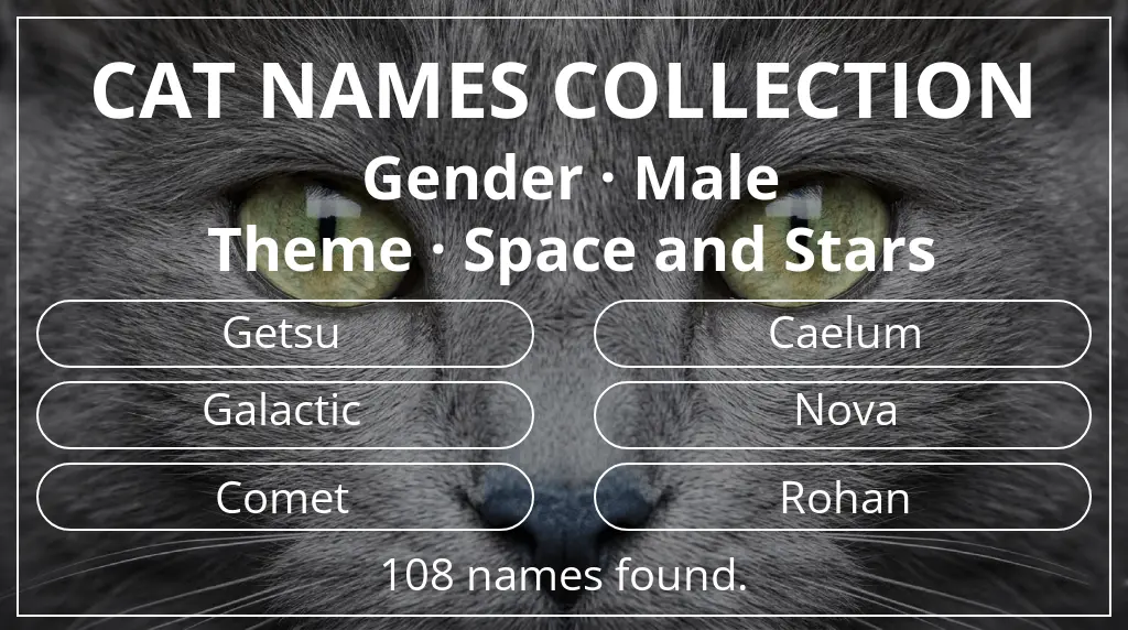 Cat names related to male gender and space and stars theme