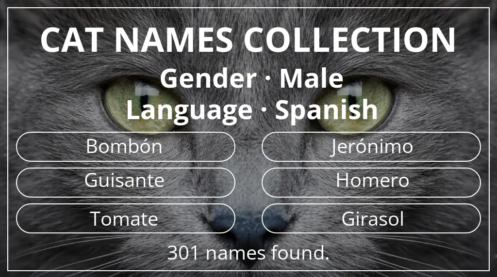 Names for cats based on male gender and spanish language