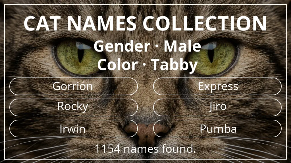 Feline names inspired by male gender and tabby color