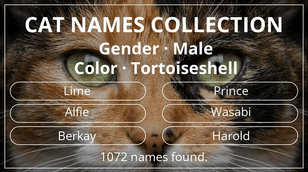 Cat names based on male gender and tortoiseshell color